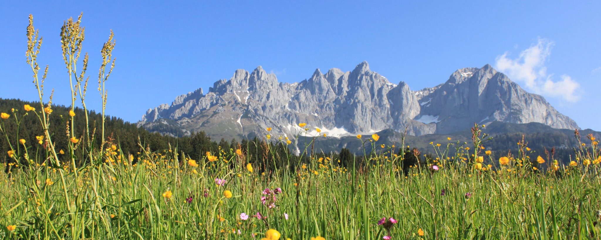 ferienwohnung mit hund dorf tirol